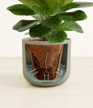 Load image into Gallery viewer, Sage Green