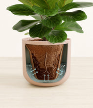 Load image into Gallery viewer, Sandy Pink