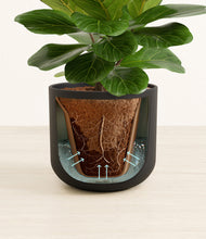 Load image into Gallery viewer, Stone Black