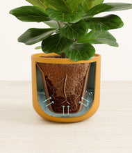 Load image into Gallery viewer, Sunset Orange