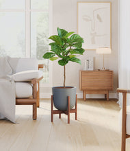 Load image into Gallery viewer, Iron Gray stand:walnut