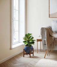 Load image into Gallery viewer, Deep Navy stand:walnut