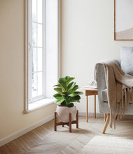 Load image into Gallery viewer, Desert Brown stand:walnut