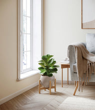 Load image into Gallery viewer, Winter Clouds stand:bamboo