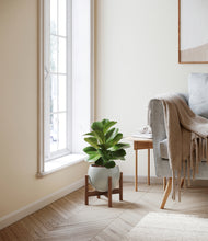 Load image into Gallery viewer, Deep Ocean stand:walnut