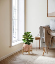 Load image into Gallery viewer, Calm Rose stand:bamboo