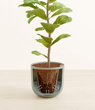 Load image into Gallery viewer, Natural Bamboo stand:all
