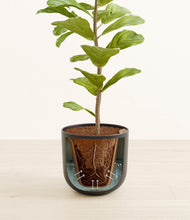 Load image into Gallery viewer, Sandy Pink stand:all