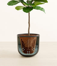 Load image into Gallery viewer, Stone Black stand:all