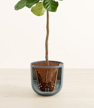 Load image into Gallery viewer, Iron Gray stand:all