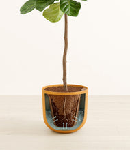 Load image into Gallery viewer, Sunset Orange stand:all