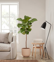 Load image into Gallery viewer, Sandy Pink