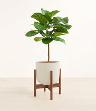 Load image into Gallery viewer, Natural Bamboo stand:walnut