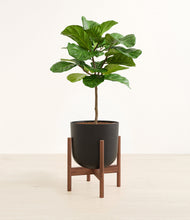 Load image into Gallery viewer, Stone Black stand:walnut