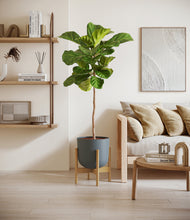 Load image into Gallery viewer, Iron Gray stand:bamboo