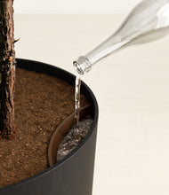 Load image into Gallery viewer, Stone Black