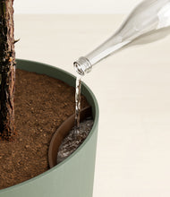 Load image into Gallery viewer, Sage Green