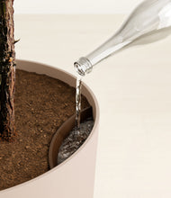 Load image into Gallery viewer, Sandy Pink