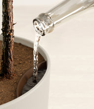 Load image into Gallery viewer, Natural Bamboo stand:all