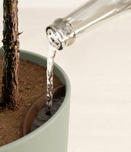 Load image into Gallery viewer, Sage Green stand:all