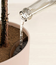 Load image into Gallery viewer, Sandy Pink stand:all