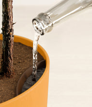 Load image into Gallery viewer, Sunset Orange stand:all