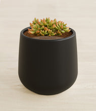 Load image into Gallery viewer, Black stand:all