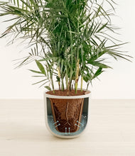 Load image into Gallery viewer, Natural Bamboo stand:all