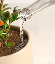 Load image into Gallery viewer, Almond Green stand:all