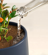 Load image into Gallery viewer, Deep Navy stand:all