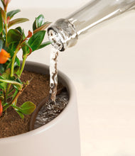 Load image into Gallery viewer, Eternal Gray stand:all