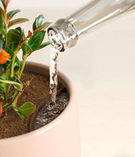 Load image into Gallery viewer, Gentle Pink stand:all