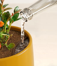 Load image into Gallery viewer, Mustard stand:all