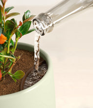 Load image into Gallery viewer, Turquoise stand:all