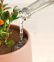 Load image into Gallery viewer, Calm Rose stand:all