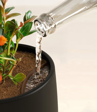 Load image into Gallery viewer, Black stand:all