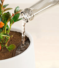 Load image into Gallery viewer, White stand:all