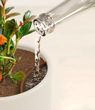 Load image into Gallery viewer, Cotton White stand:all