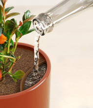 Load image into Gallery viewer, Glossy Red stand:all