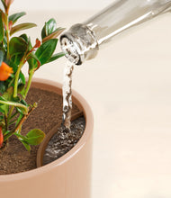 Load image into Gallery viewer, Glossy Pink stand:all