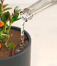 Load image into Gallery viewer, Iron Gray stand:all