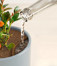 Load image into Gallery viewer, Misty Blue stand:all