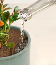 Load image into Gallery viewer, Reactive Aqua stand:all