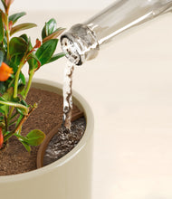 Load image into Gallery viewer, Sage Green stand:all