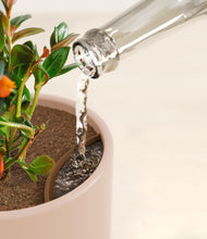 Load image into Gallery viewer, Sandy Pink stand:all