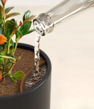 Load image into Gallery viewer, Stone Black stand:all