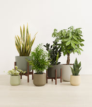Load image into Gallery viewer, Woodland stand:two_stands