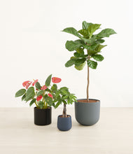 Load image into Gallery viewer, Charcoal*****Profile