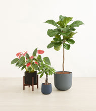 Load image into Gallery viewer, Charcoal stand:one_stand