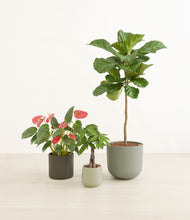 Load image into Gallery viewer, Countryside*****Profile